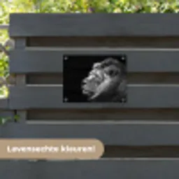 Leeuw tegen zwarte achtergrond in zwart-wit tuinposter los doek klein -sfeer3