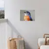 Kleurrijk - Vogeltje - Veren - Blauw tuinposter los doek klein -sfeer8