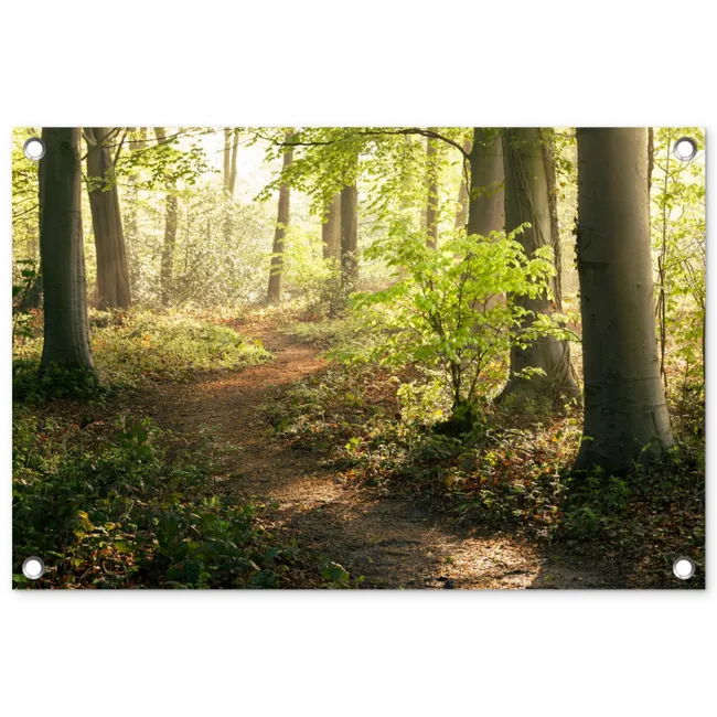 Bospad bij zonsopgang tuinposter los doek klein -3d