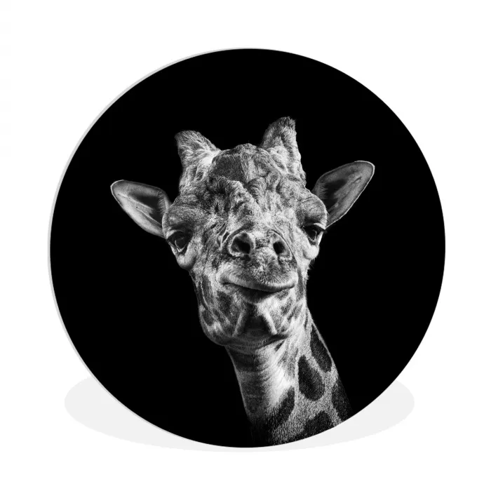 Giraffe - Dier - Zwart - Wit Wandcirkel kunststof plaat 5mm dik klein -3d