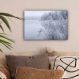 Riet - Bevroren - Winter - Natuur canvas 2cm klein -sfeer1