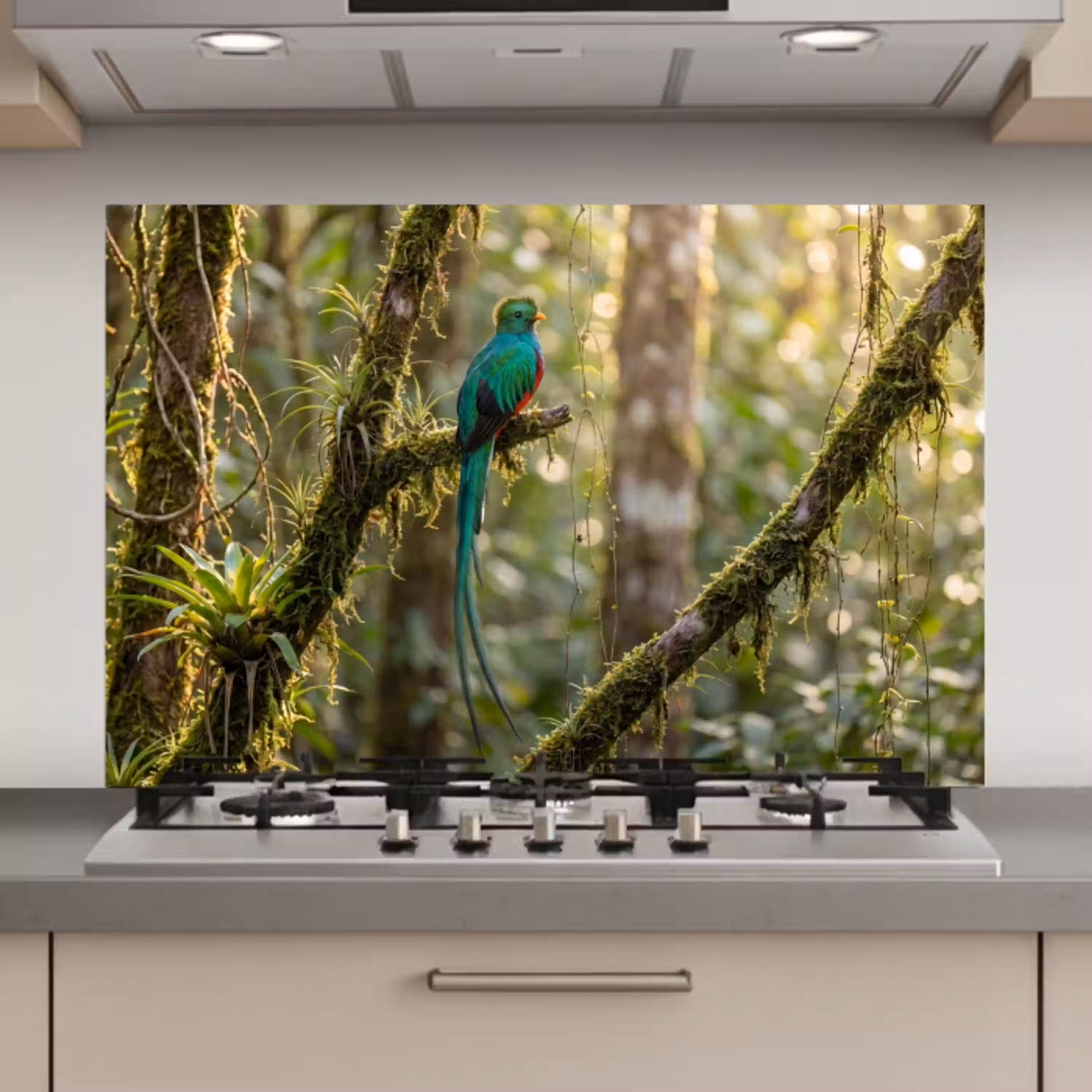 Quetzal - Jungle - Natuur - Groen keuken achterwand spatscherm klein -3d_website