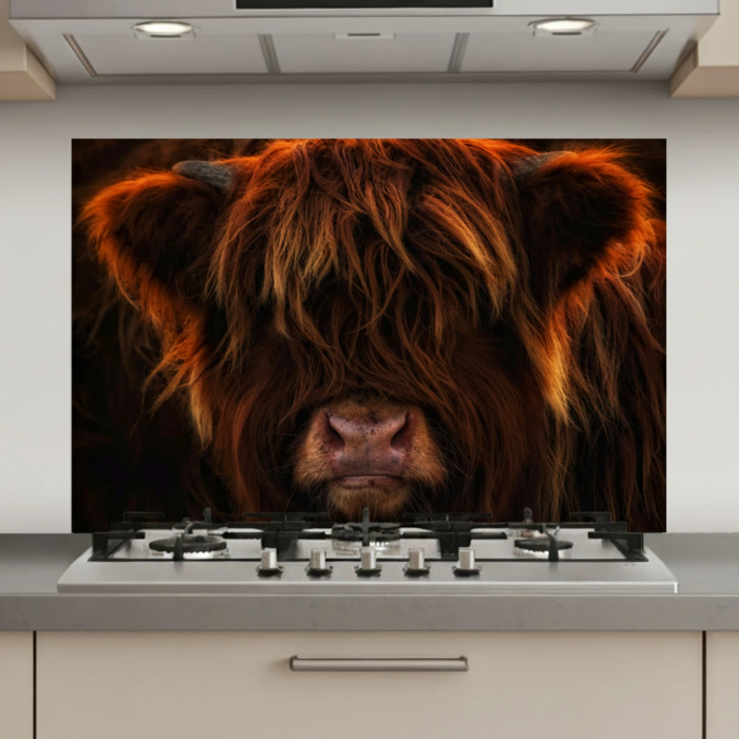 Schotse Hooglander - Koe - Portret - Dieren keuken achterwand spatscherm klein -3d_website