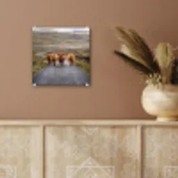 Schotse Hooglanders - Weg - Landschap - Kudde plexiglas 5mm klein -sfeer5
