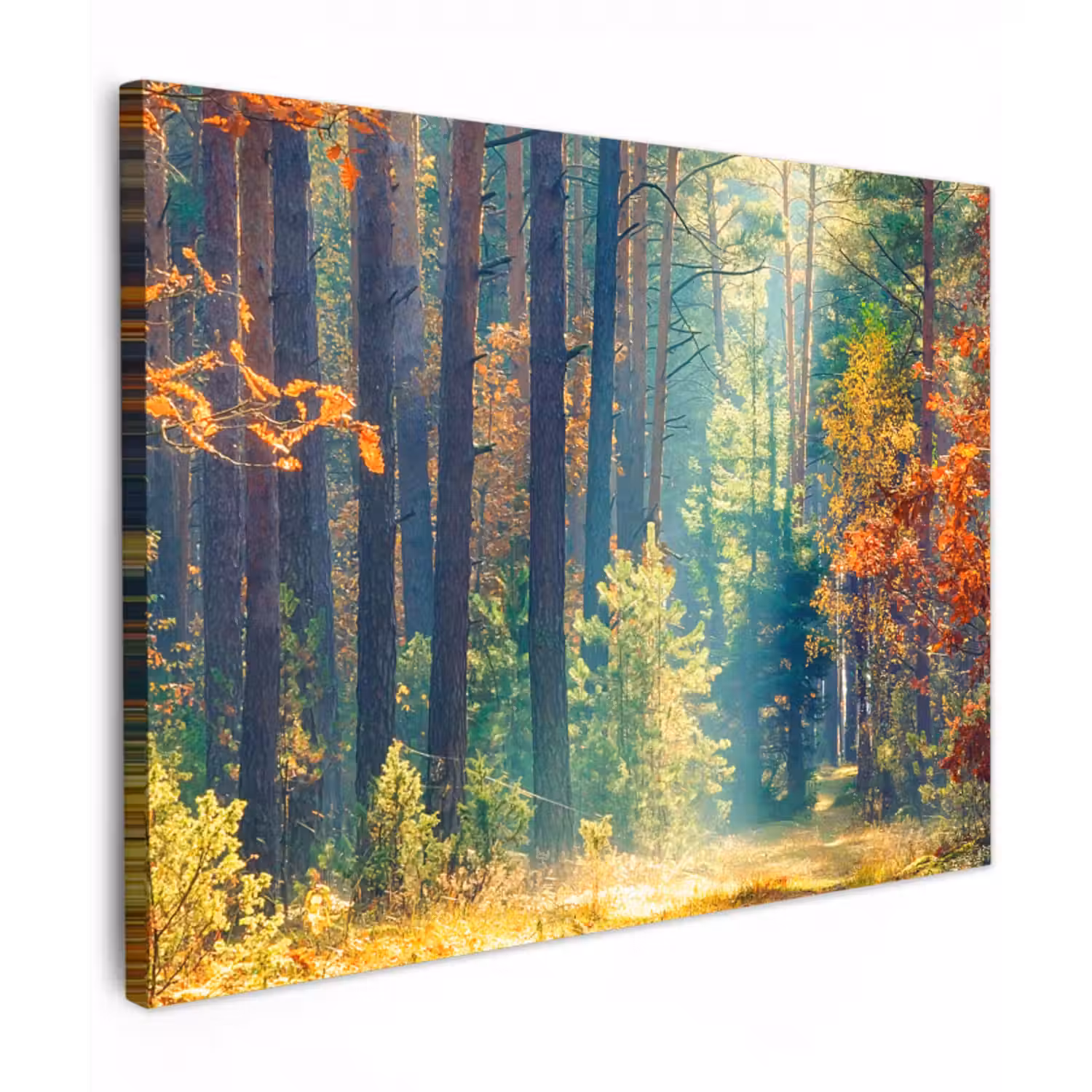 Canvas schilderij - Bos - Zon - Natuur - Herfst