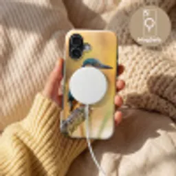 IJsvogel - Tak - Water - Kleurrijk - Levendig Toughcase MagSafe Apple iPhone 17 klein -USP_MagsafeV