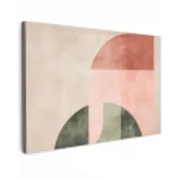 Cirkel - Abstract - Roze Tuinposter op houten frame 2 cm dik klein -3d