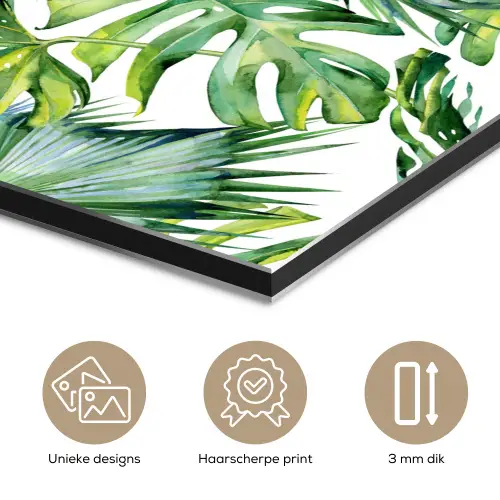 Bladeren - Monstera - Tropical - Jungle aluminium wit klein -closeup_NL
