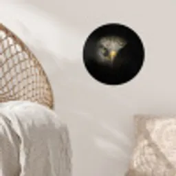 Vogel - Adelaar - Roofvogels - Oog - Snavel - Licht Wandcirkel behangsticker klein -sfeer4