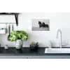 Paarden - Gras - Zwart - Wit Muursticker klein -keuken
