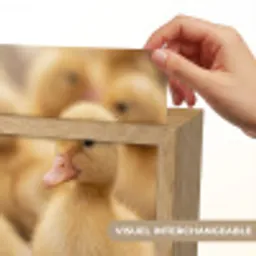 Pijltje - Eend - Natuur - Geel Light Box met kabel (Kinderlampje) klein -USP_websiteprintFR