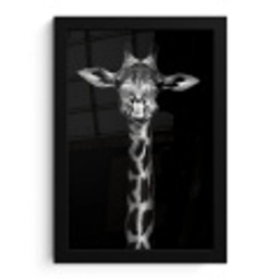 Giraffe - Portret - Dieren - Zwart - Wit fotolijst zwart zonder passe partout klein -3d