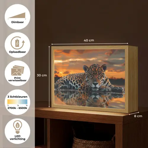 Natuur - Luipaard - Dier - Zonsondergang - Modern Light Box met batterij (Wandlamp) middel -USP_websiteoverzichtNL