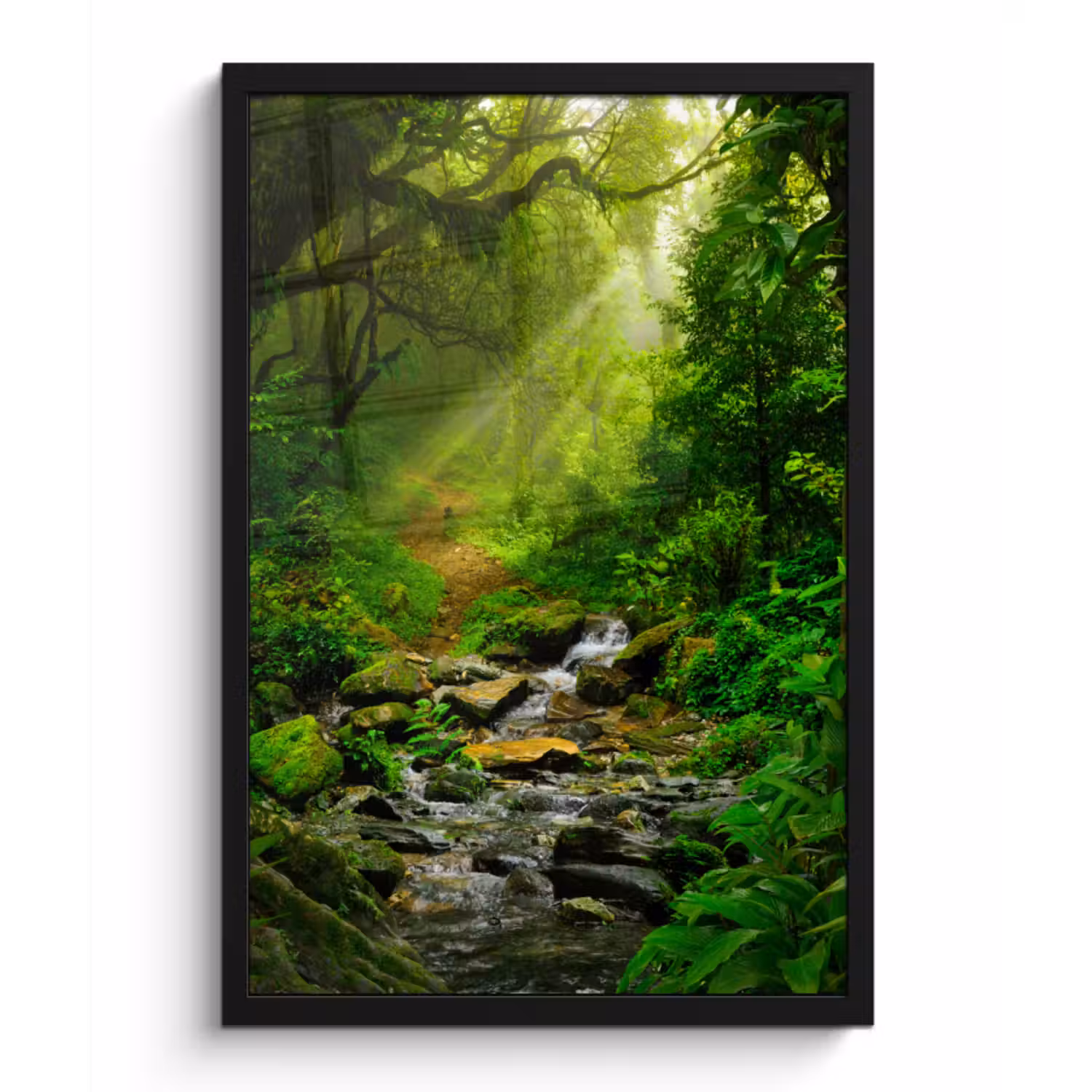 Poster met lijst - Jungle - Water - Bladeren - Zon - Natuur
