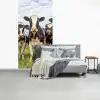 Koeien - Weiland - Dieren - Natuur - Gras fotobehang vinyl groot -slaapkamer