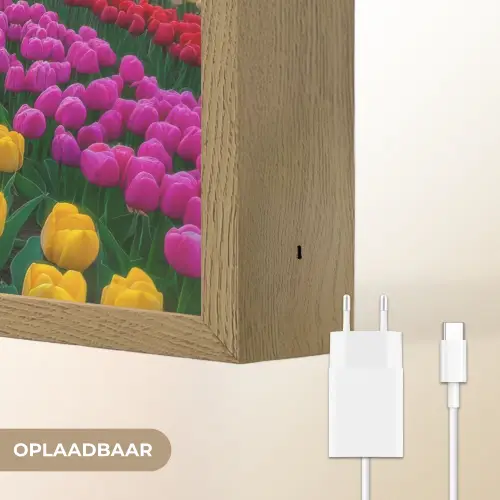Tulpenveld - Zonsondergang - Kleurrijk Light Box met batterij (Wandlamp) middel -USP_websiteoplaadbaarNL