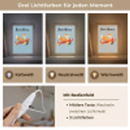 Vos - Vliegtuig - Blauw Light Box met kabel (Kinderlampje) klein -USP_lichtkleurDE