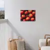 Groente - Rood - Tomaten tuinposter los doek klein -sfeer8