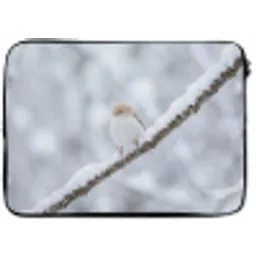 Vogeltje - Sneeuw - Tak - Winter - Zacht laptophoes neopreen klein -zkaufland3dotto