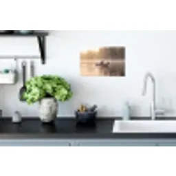 Eenden - Water - Mist - Natuur Muursticker klein -keuken