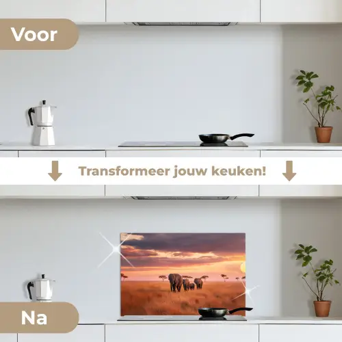 Groep olifanten - Open vlakte - Zon keuken achterwand spatscherm klein -voor_na_NL