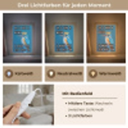 Vogel - Decoratie - Ijsvogel - Blauw Light Box met kabel (Tafellamp) klein -USP_lichtkleurDE