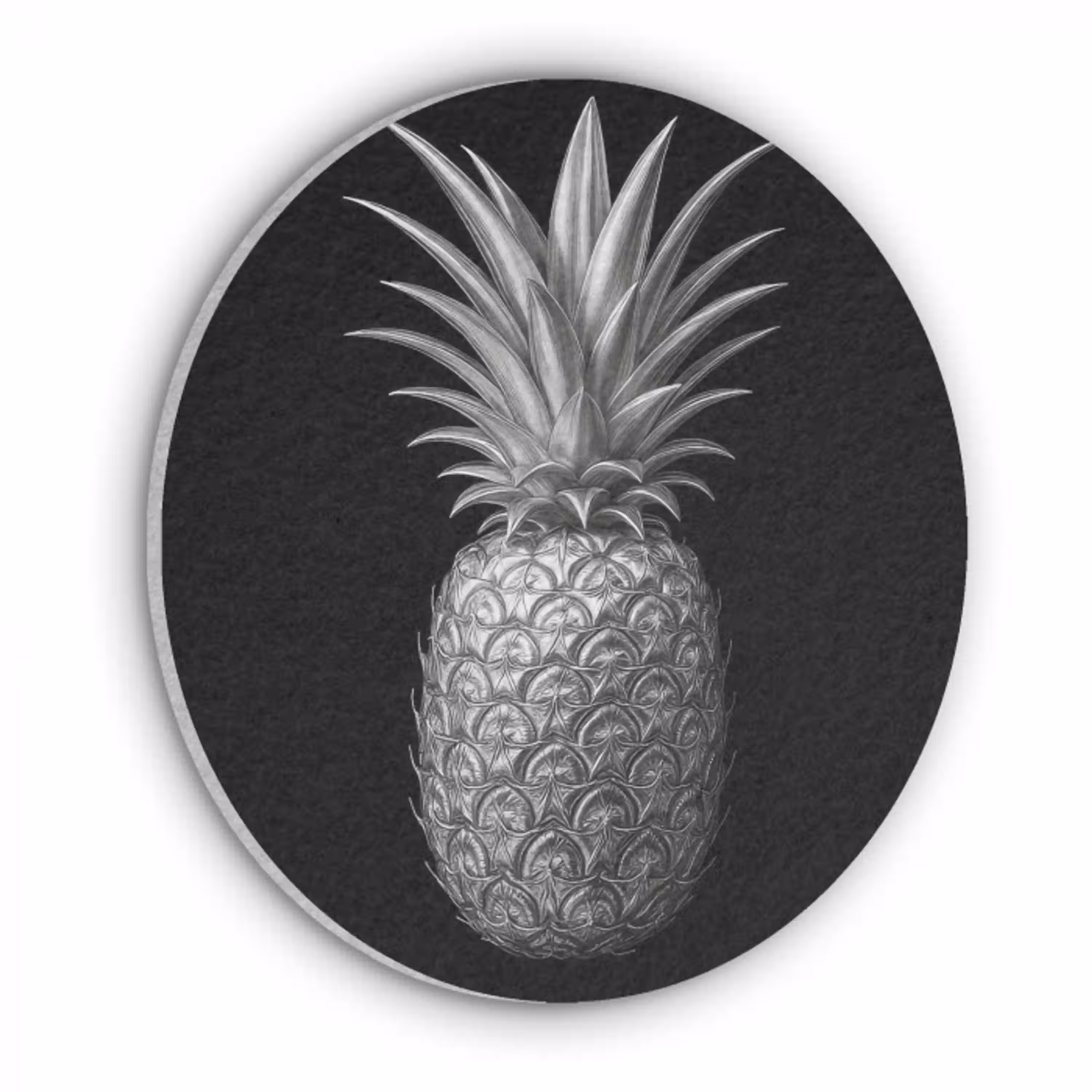 Ananas - Gedetailleerd - Bladeren Akoestische PET Vilt - Rond klein -3d
