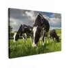 Koeien - Dieren - Gras - Weiland - Boerderij Tuinposter op houten frame 2 cm dik klein -3d