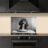Poedel - Hond - Zwart - Wit - Schattig - Pasta keuken achterwand spatscherm klein -sfeer1