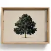 Eikenboom - Schaduw - Egaal Dienblad Rechthoek middel -z3d_shopping