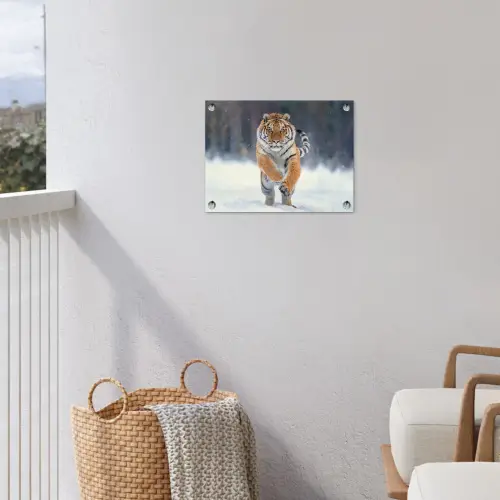 Tijger rennend door de sneeuw tuinposter los doek klein -sfeer8