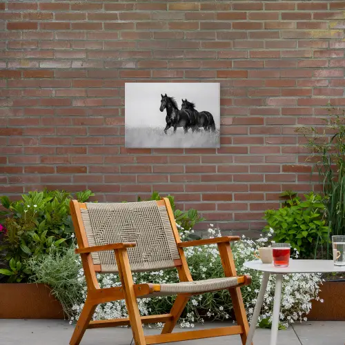 Paarden - Gras - Zwart - Wit Tuinposter op houten frame 2 cm dik klein -sfeer3