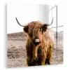 Schotse hooglander - Landschap - Koe - Bruin - Dieren - Natuur plexiglas 5mm klein -zzzproduct_nieuw