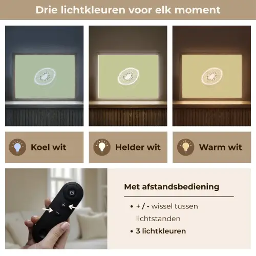 Kiwi - Lijntekening - Minimalistisch - Groen Light Box met batterij (Wandlamp) middel -USP_lichtkleurNL