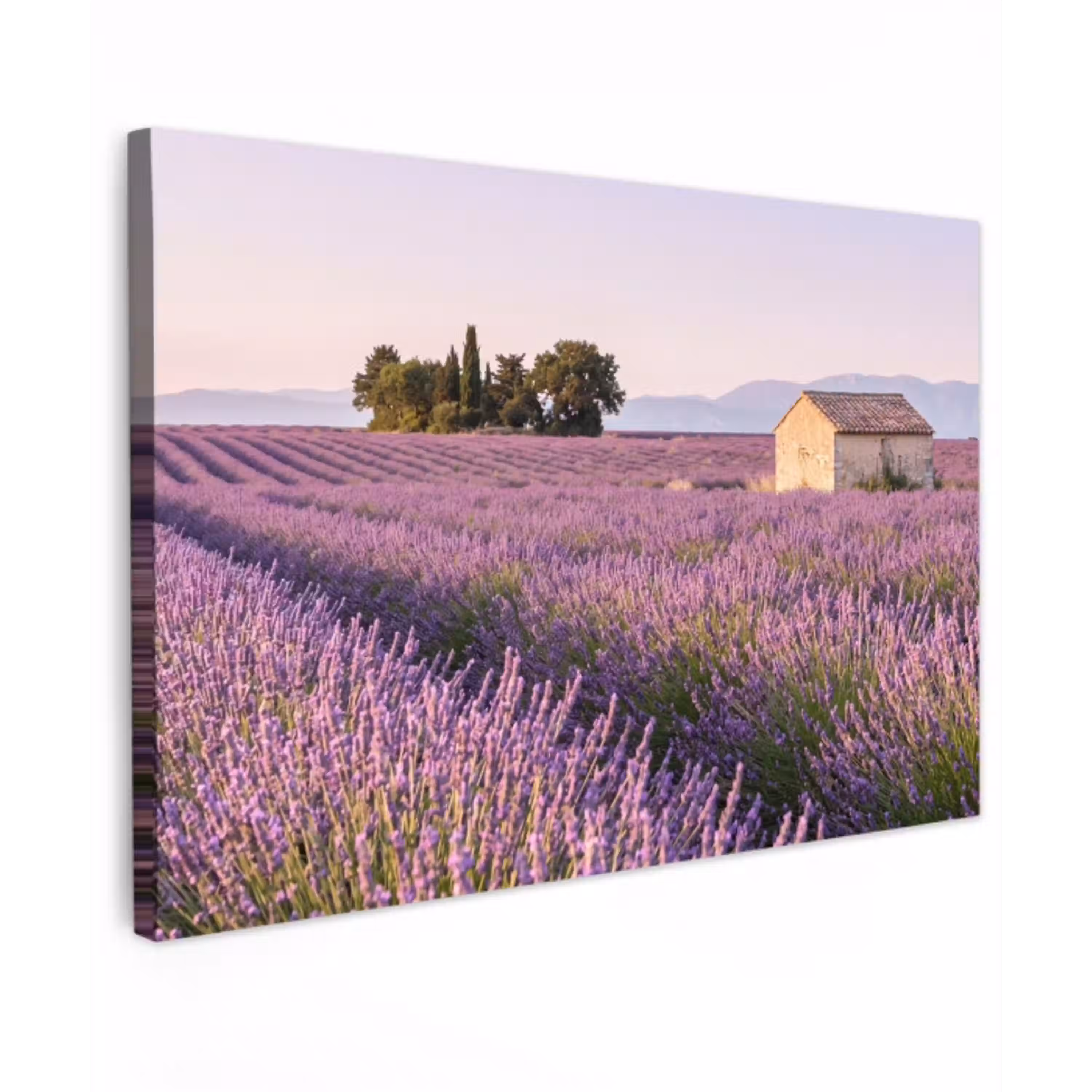 Lavendel - Landschap - Sereen - Paars Tuinposter op houten frame 2 cm dik klein -3d