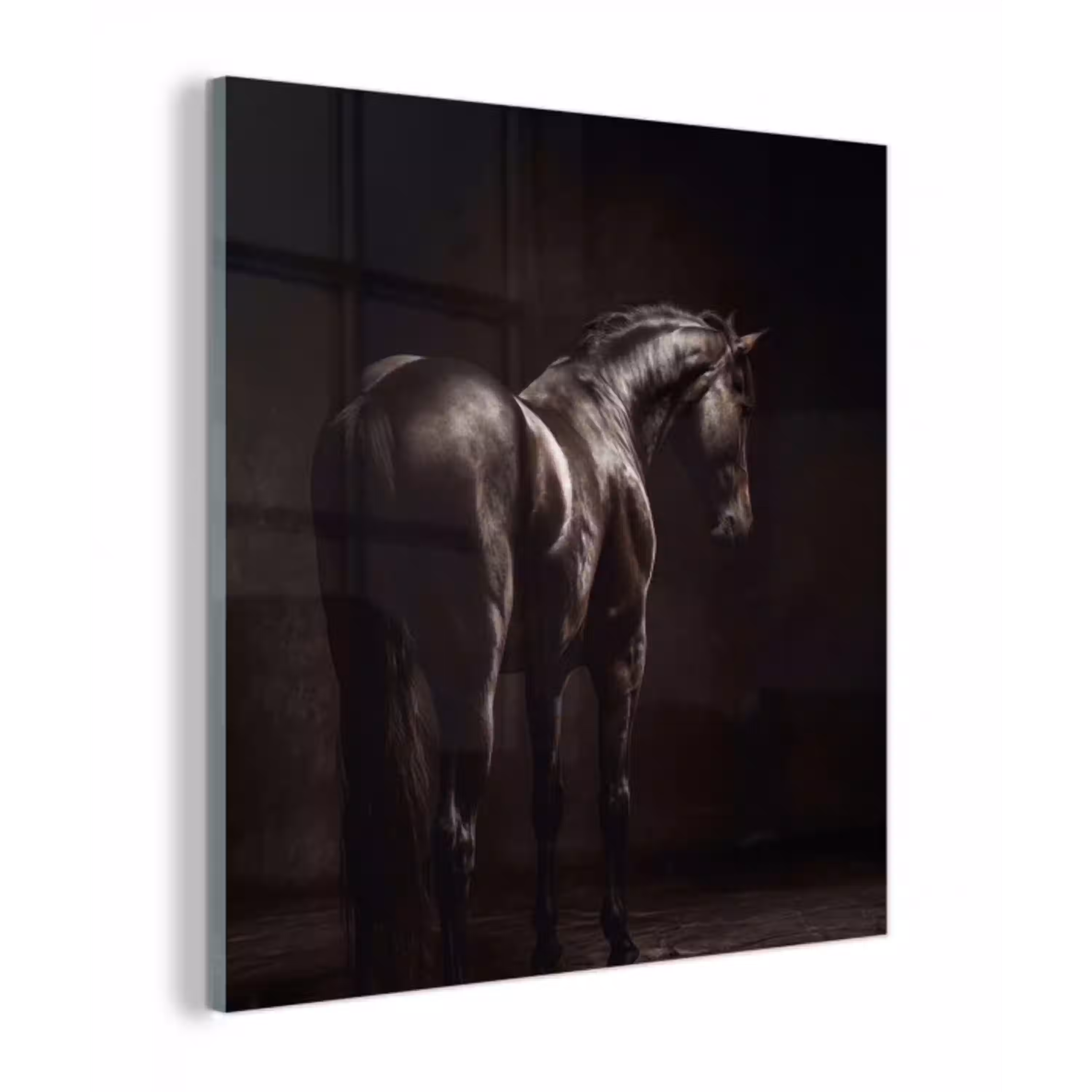 Krachtig - Paard - Donker plexiglas 5mm klein -z3d