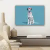 Dalmatiër - Zonnebril - Blauw canvas 2cm klein -sfeer6