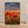 Zonsondergang - Klaprozen - Rood - Bloemen - Veld - Natuur canvas 2cm klein -sfeer1