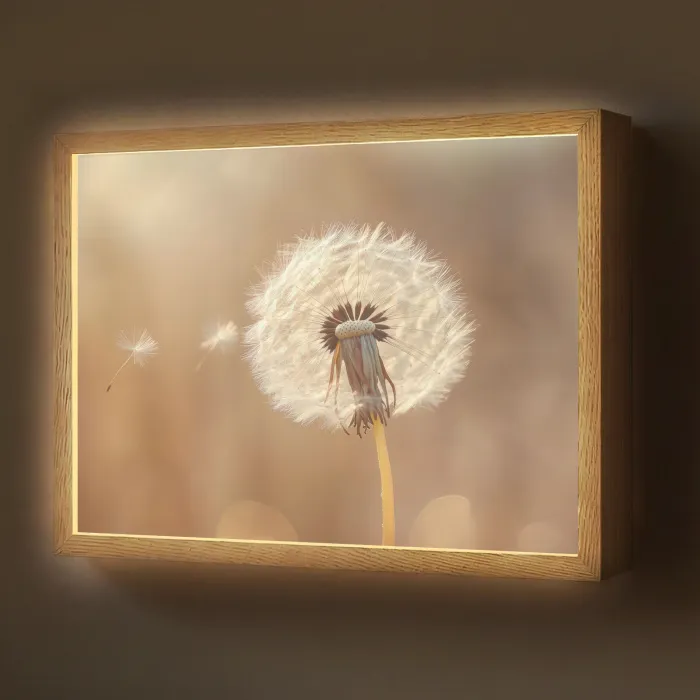 Paardenbloem - Beige - Natuur - Bloem Light Box met batterij (Wandlamp) middel -z3d_website