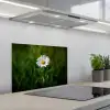 Wit - Madeliefje - Bloem - Gras keuken achterwand spatscherm klein -3d_schuin