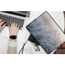 Rijp - Gras - Kristallen - Winter - Minimalistisch laptophoes neopreen klein -bureau