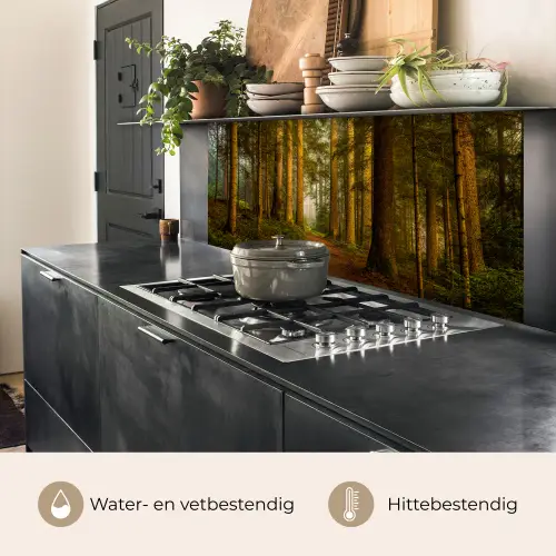 Bos - Natuur - Bomen - Landschap - Bladeren keuken achterwand 2 middel -usp_NL