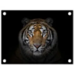 Tijger in de schaduw tuinposter los doek klein -3d