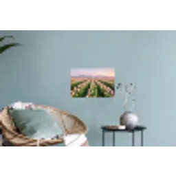 Tulpen - Landschap - Roze Muursticker klein -plant