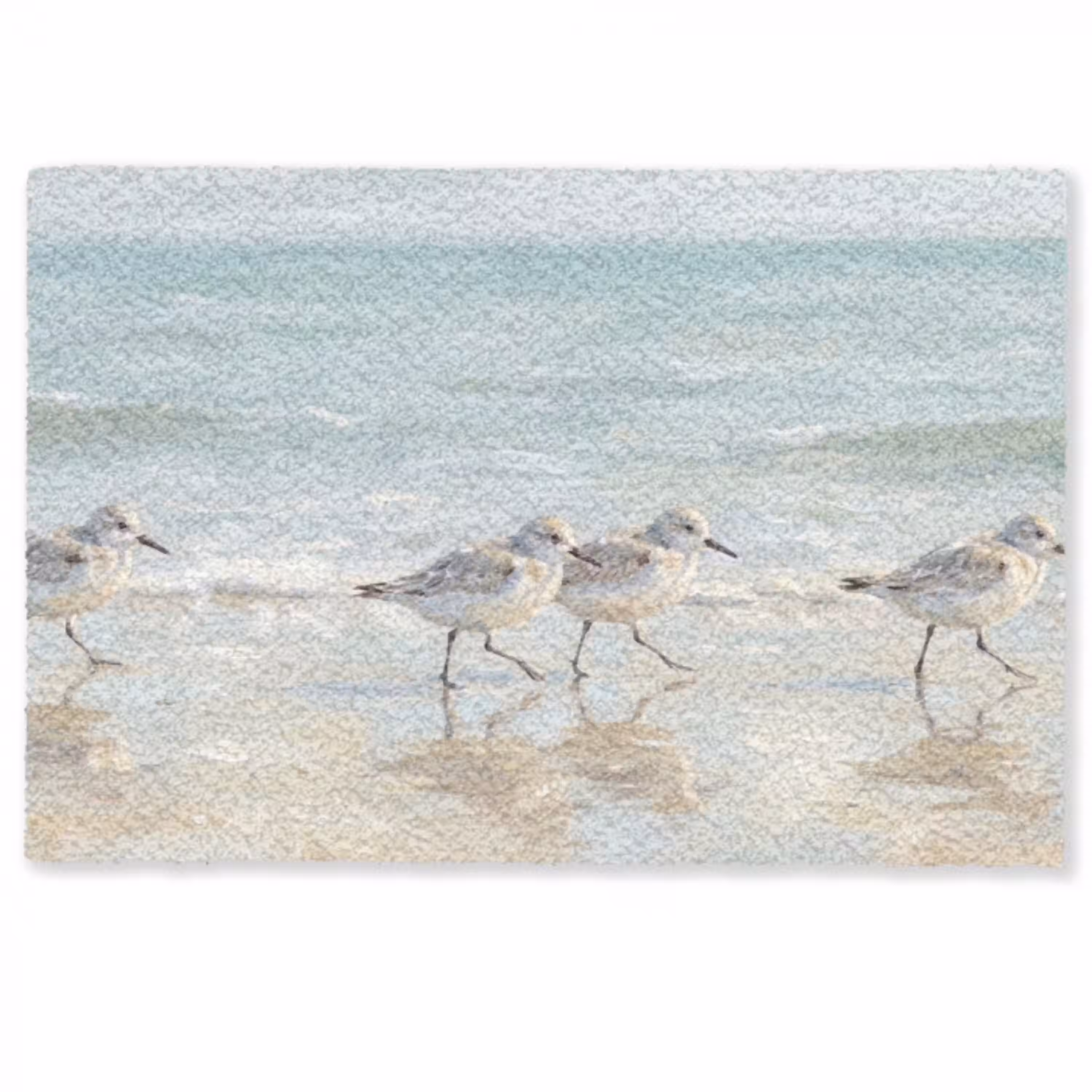 Vogels - Strand - Zee Deurmat klein -zkaufland3d