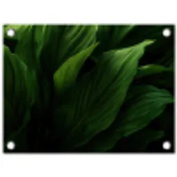 Bladeren - Schaduw - Groen - Textuur tuinposter los doek klein -3d