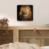 Leeuw - Dieren - Zwart - Licht - Bruin - Portret plexiglas 5mm klein -sfeer4