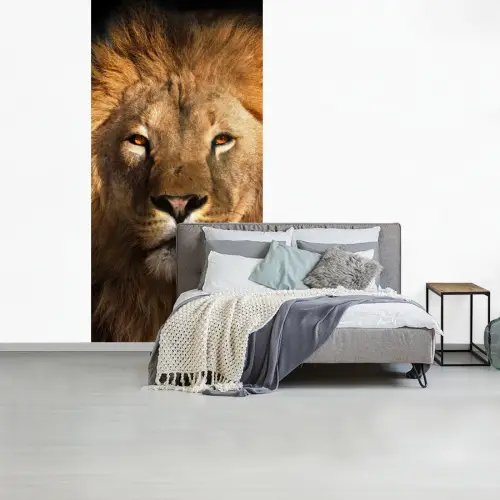 Leeuw - Dieren - Zwart - Licht - Bruin - Portret fotobehang vinyl groot -slaapkamer