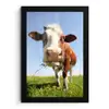 Koe - Dieren - Bloemen - Gras fotolijst zwart zonder passe partout klein -3d