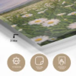 Madelief - Veld - Heuvels - Groen plexiglas 5mm klein -sfeer2